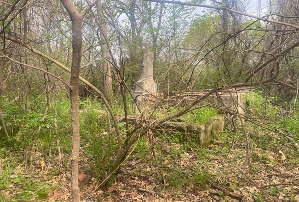 Bass Reeves mystery, Freedmen history, and Promised Land